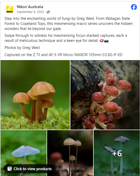 Nikon Fungi Photography